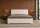 Design Polsterbett Oslo Samt Magic Velvet mit Stauraum-Bettkasten